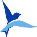 BlueBird, CPAs company logo