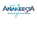 ANAKEESTA company logo