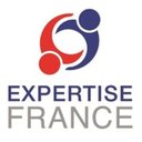 Expertise France company logo