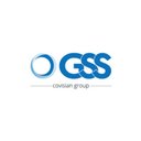 Grupo GSS company logo
