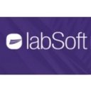 Labsoft company logo