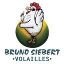 BRUNO SIEBERT S.A company logo
