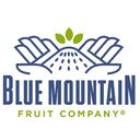 Blue Water Storage company logo