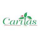 Caritas School Of Life company logo