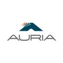 Auria Solutions company logo