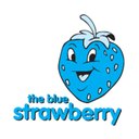 The Blue Strawberry Kids Daycare Ltd company logo