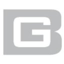 Bergmann Group company logo