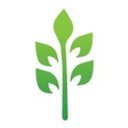 Women's Health Arizona company logo