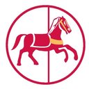 Carousel Checks Inc. company logo