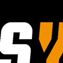SURVEYOUR company logo