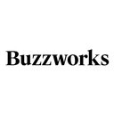 Buzzworks Holdings company logo