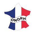 Office national des Ressources Humaines company logo
