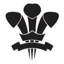 Oil 4 Wales Ltd company logo