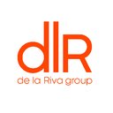 dlR group company logo