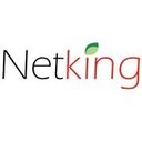 Netking Web Services company logo