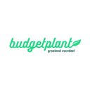Budgetplant company logo