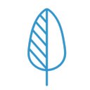Alamo Heights Wellness company logo