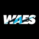 WAES company logo