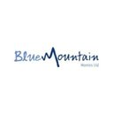 Blue Mountain Homes Ltd company logo