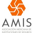 AMIS company logo