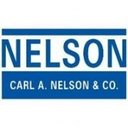 Carl A. Nelson & Co. company logo