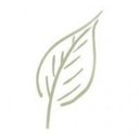 Fox Valley Institute company logo
