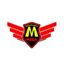 MEGA SEGURANÇA LTDA company logo