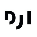Deutsches Jugendinstitut e.V. company logo