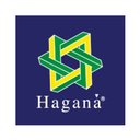 Grupo Haganá company logo