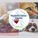 Waukesha Animal Hospital company logo