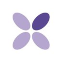 CASI Cheminot Toulouse company logo