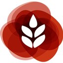 ITK company logo