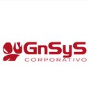GN SYS CORPORATIVO SA DE CV company logo