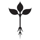 Roots Natural Kitchen company logo