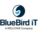 BlueBird IT Solutions Inc company logo