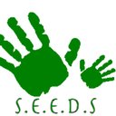 SEEDS Childcare company logo