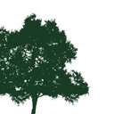 Moness Resort company logo