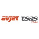 Avjet Holding, Inc. company logo