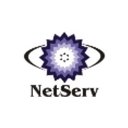 SM NetServ Technologies company logo