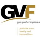 GVF Group of Companies company logo