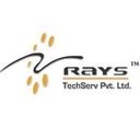 Rays TechServ Pvt. Ltd. company logo