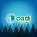 CADI company logo