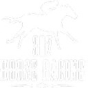 307 RACING MANAGEMENT, LLC company logo