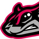 Richmond Flying Squirrels company logo