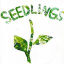 Seedlings Playschool company logo