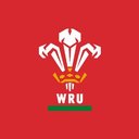 The Welsh Rugby Union company logo