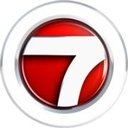 WSVN 7News company logo