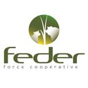 FEDER company logo
