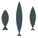 Three Fishes Mitton company logo