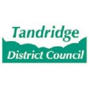 Tandridge District Council company logo